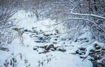 汪国生|大雪节八首