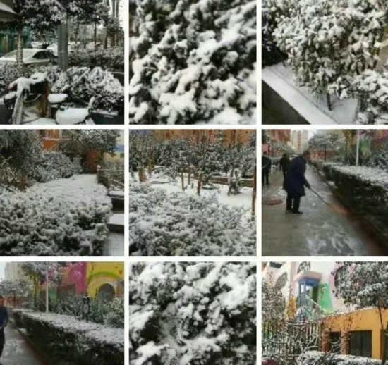 辛丑年腊月家乡飞雪