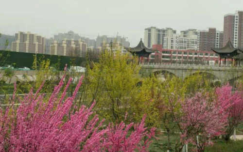 蝶恋花/两岸春风