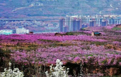 归田乐/春又到