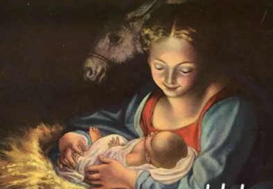 格林童话|圣母的孩子