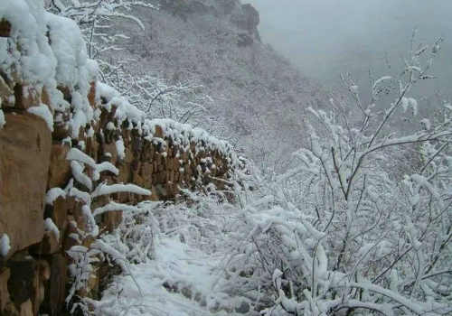 李雁彬|面对雪野，我想了想归期