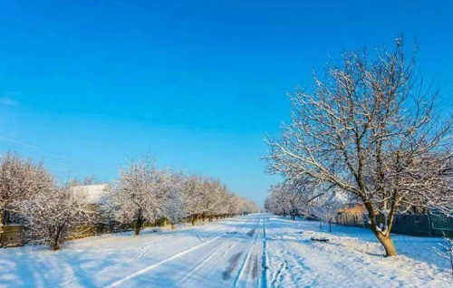 李雁彬|雪，最后才落到秦安