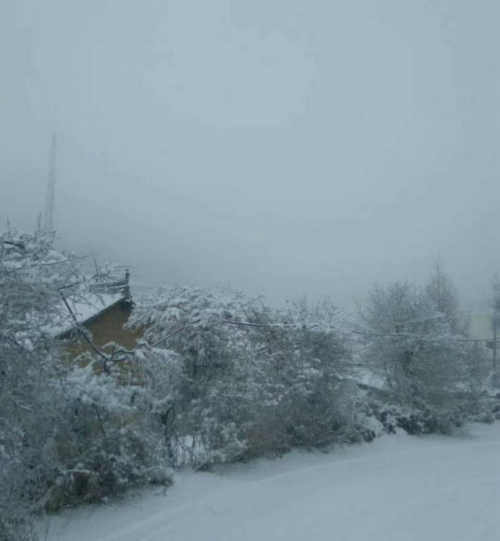 李雁彬|雪之乐章