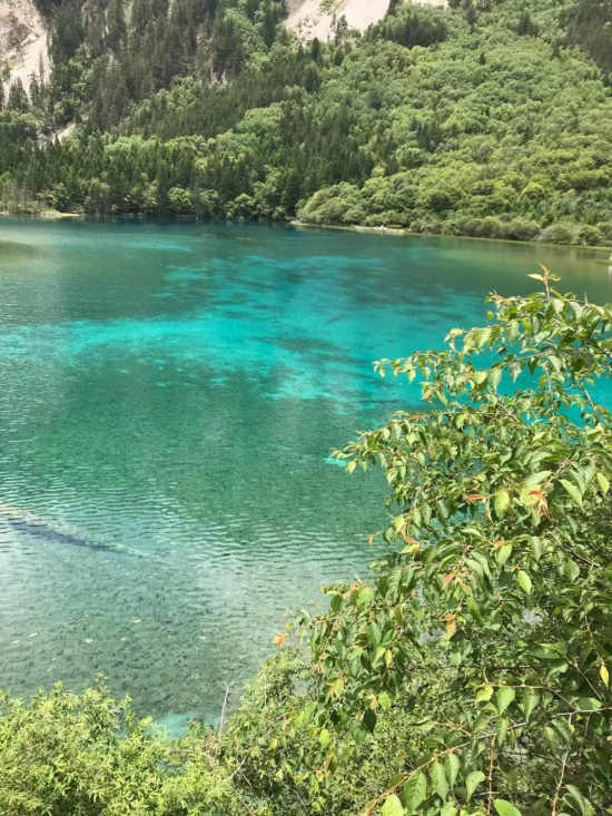 张彩萍|九寨沟（一）