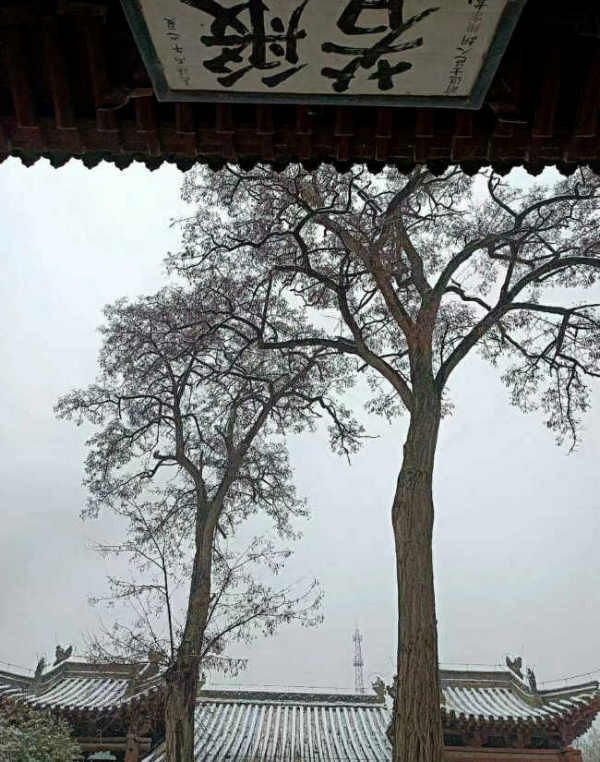 张泉林/秦安兴国寺，陇山渭水间一颗璀璨的明珠。