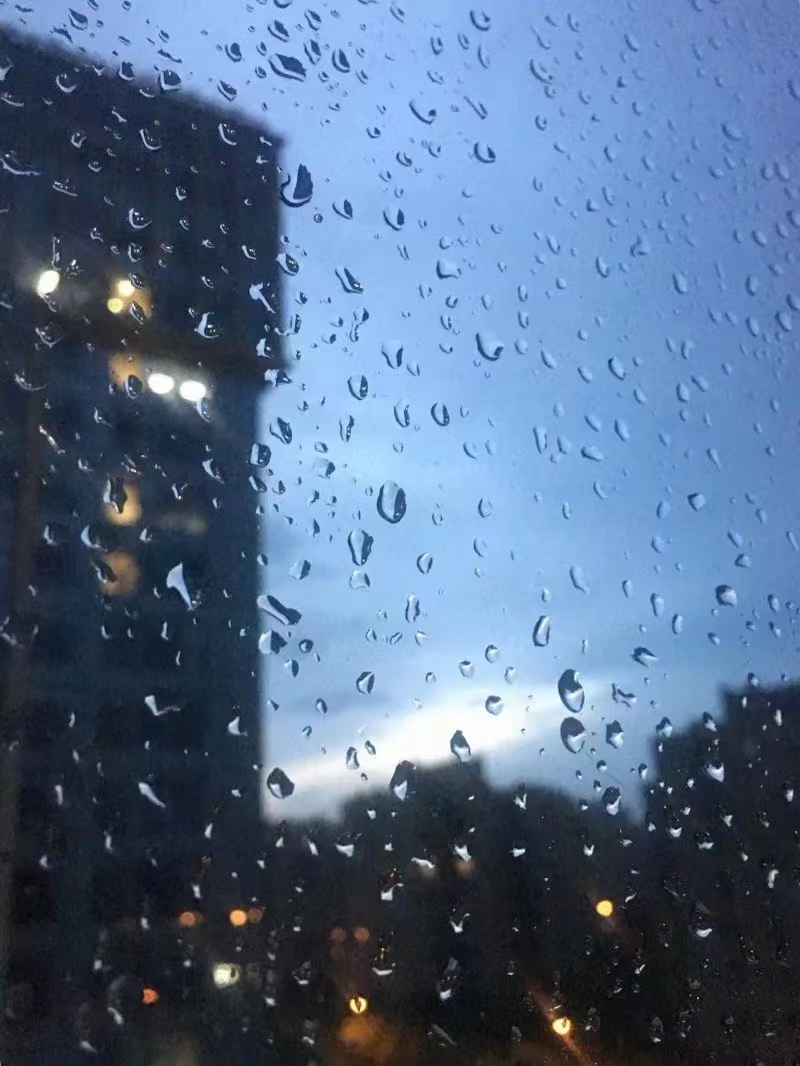 张彩萍/暮雨