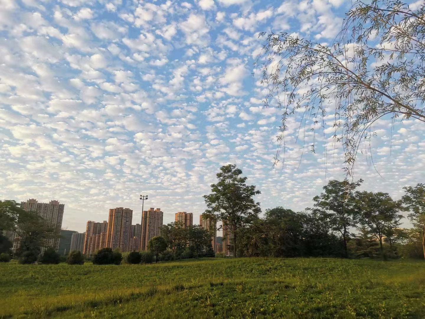 郭明祥/霓霞赋