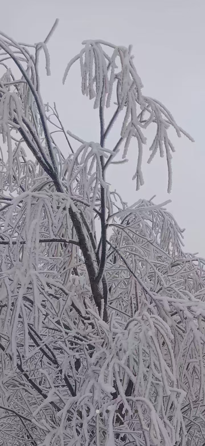 雨水飘雪