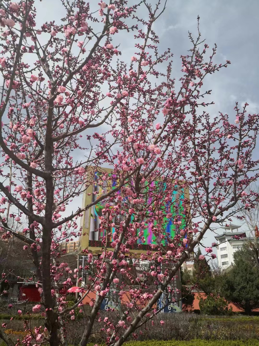 五律.葫芦河公园春游