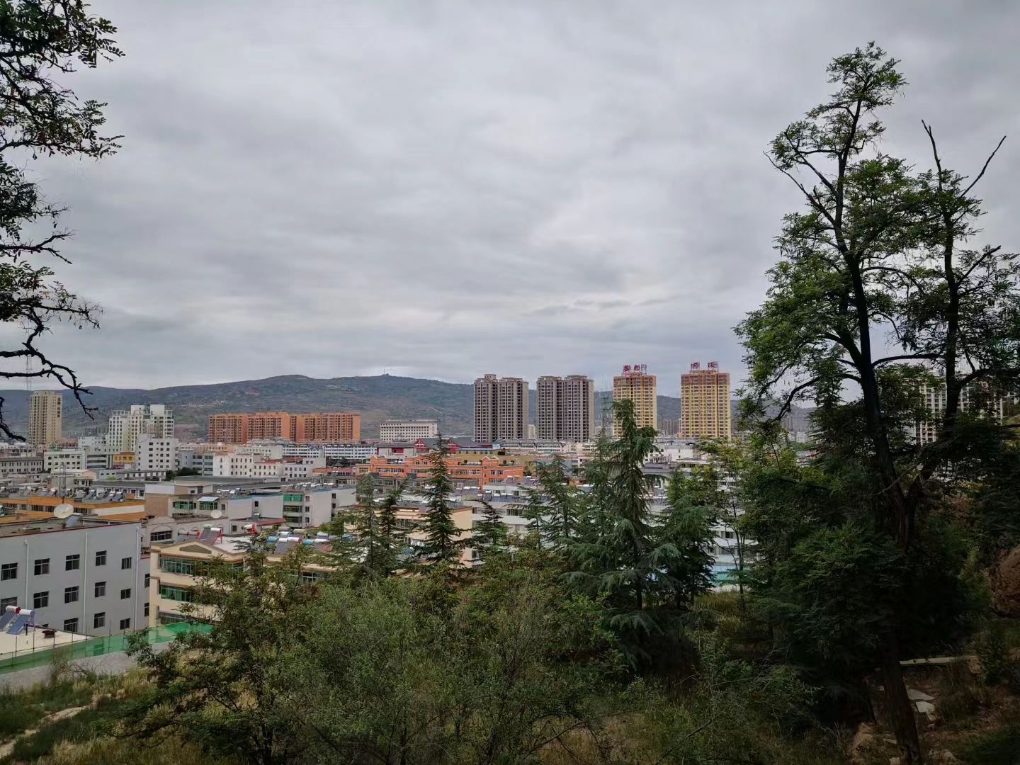 七律.甲辰夏至登凤山