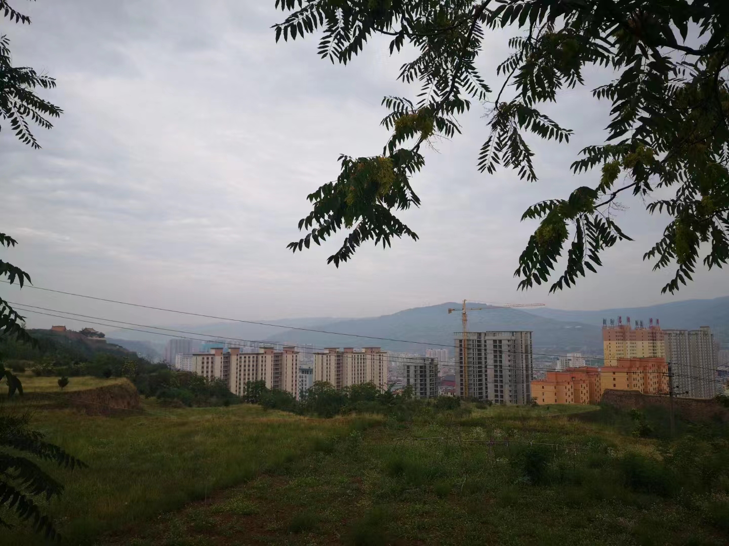 七绝.雨后登凤山