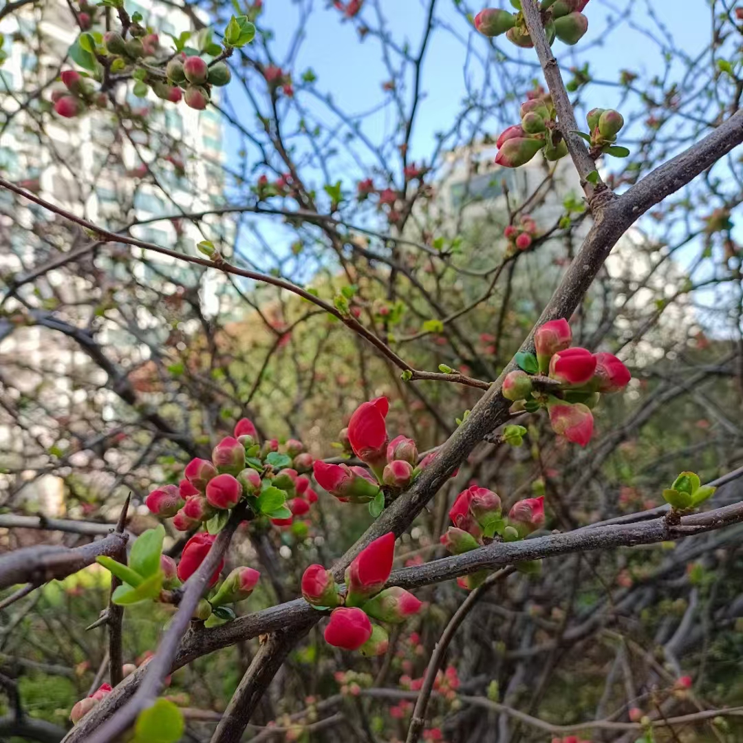 字字有力，笔笔传神