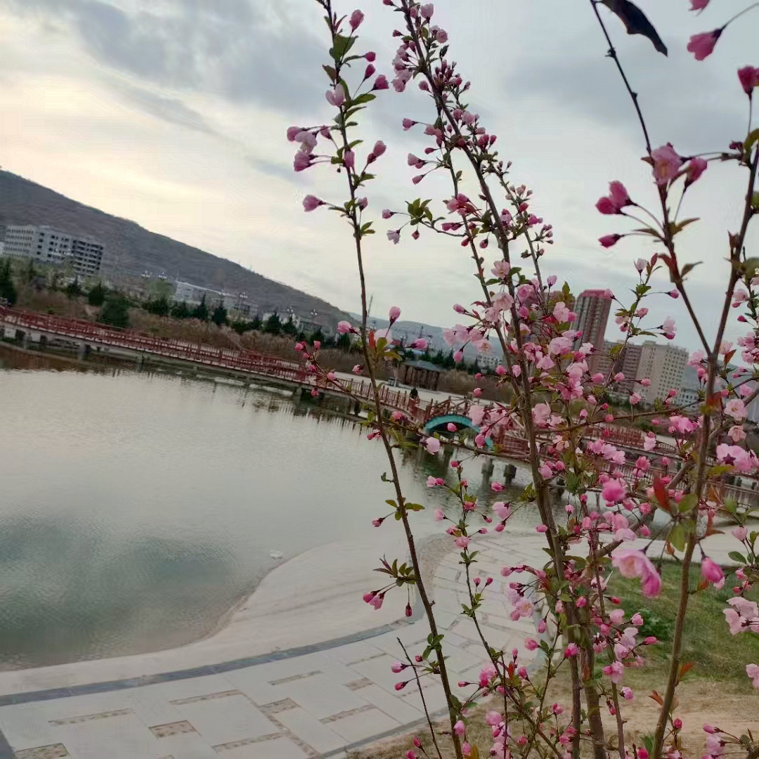 【东边日出西边雨 雨前小城风景】图2